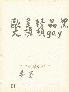 欧美精品黑人粗大视频gay