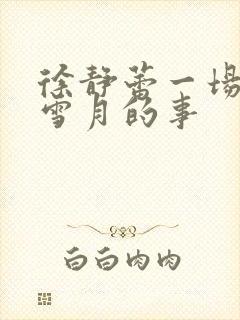 徐静蕾一场风花雪月的事封面
