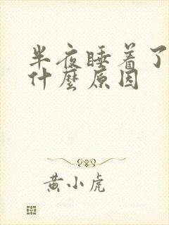 半夜睡着了漏尿什么原因