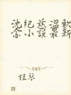 沈纪慈温软许念念小说最新章节更新封面