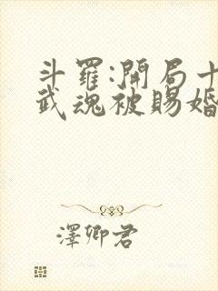 斗罗:开局十生武魂被赐婚千仞雪封面