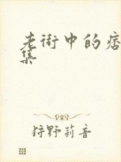 老街中的痞子全集