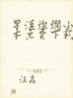 星汉灿烂小说全本免费下载封面