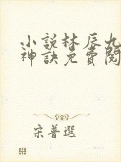 小说林辰九天斩神诀免费阅读