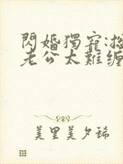 闪婚独宠:总裁老公太难缠小说txt