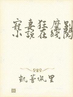 宠妻狂魔别太坏小说在线阅读