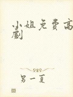 小姐免费高清韩剧