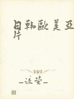 日韩欧美亚洲v片