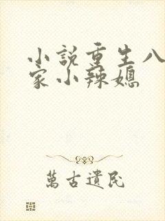 小说重生八零当家小辣媳