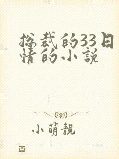 总裁的33日索情的小说