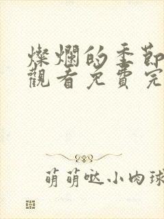 灿烂的季节在线观看免费完整版电视剧