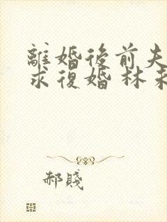 离婚后前夫哭着求复婚 林未央封面