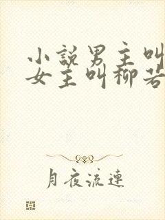 小说男主叫秦峥女主叫柳若