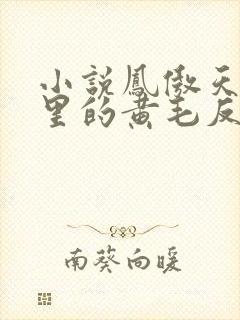 小说凤傲天小说里的黄毛反派也想幸福