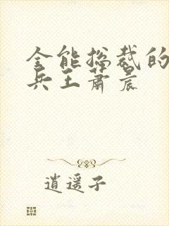 全能总裁的全能兵王萧晨