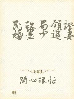 民政局领证,闪婚墨少追妻忙在线版