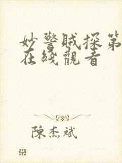 妙警贼探第三季在线观看