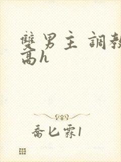 双男主 调教 高h