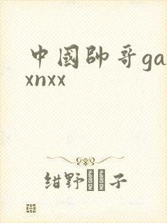 中国帅哥gayxnxx封面