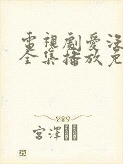 电视剧爱没有错全集播放免费