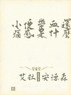 小便带血还有刺痛感是什么原因