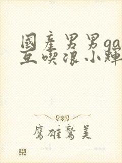 国产男男gay互吃浪小辉