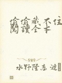 偷偷藏不住免费阅读全本