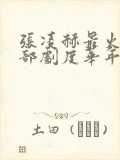 张凌赫最火的三部剧度华年