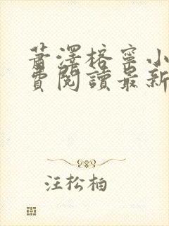 萧泽榕宁小说免费阅读最新章节更新时间