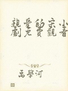 亲爱的宋小姐短剧免费观看