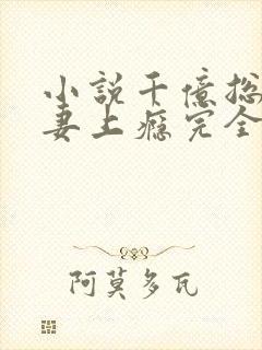 小说千亿总裁宠妻上瘾完全版封面