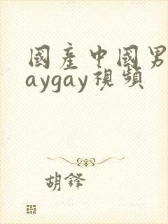 国产中国男男gaygay视频