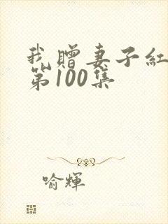 我赠妻子红缨枪第100集