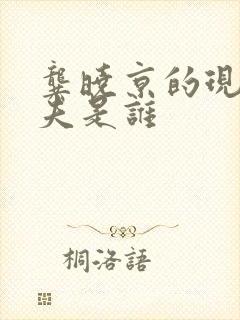 龚晓京的现任丈夫是谁