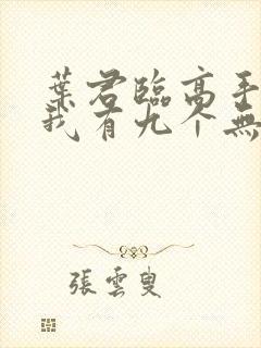 叶君临高手下山我有九个无敌师父封面