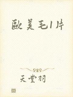 欧美毛1片