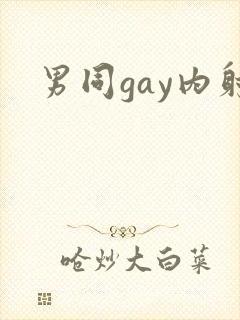 男同gay内射