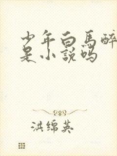 少年白马醉春风是小说吗