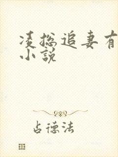 凌总追妻有点甜小说