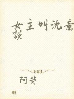 女主叫沈意的小说