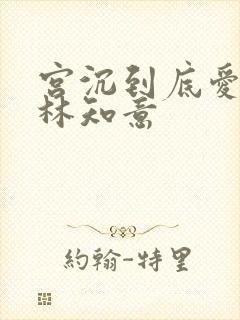 宫沉到底爱不爱林知意