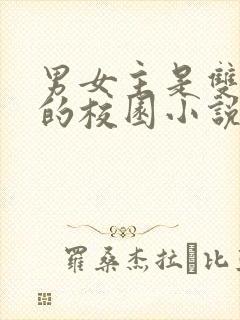 男女主是双校霸的校园小说