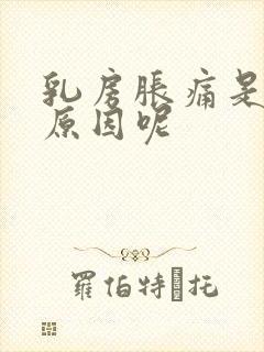 乳房胀痛是什么原因呢封面