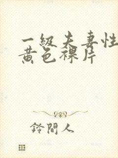 一级夫妻性生活黄色裸片