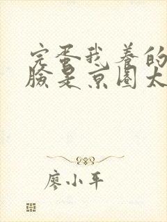 完蛋我养的小白脸是京圈太子爷结局