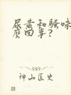 尿黄和骚味重怎么回事?封面