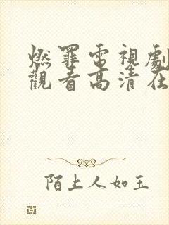 燃罪电视剧免费观看高清在线播放封面