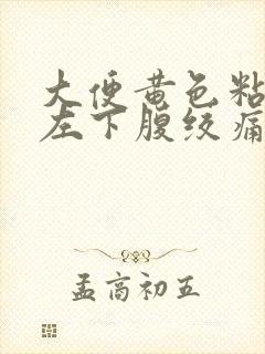 大便黄色粘稠物左下腹绞痛阵痛封面