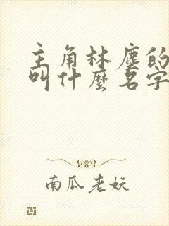 主角林尘的小说叫什么名字封面