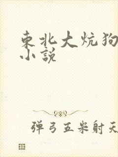东北大炕狗儿娘小说